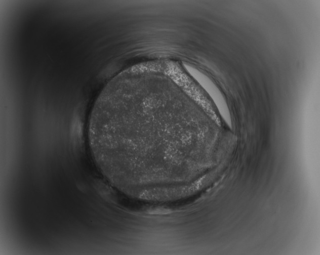 X0000087560258200705181130