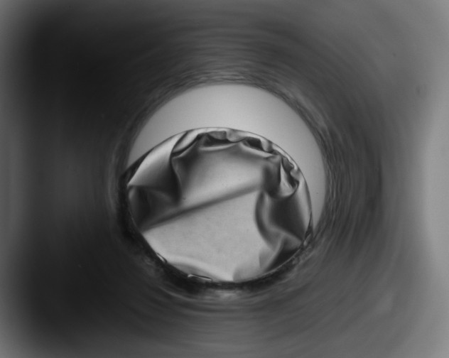 X0000087560260200705181130