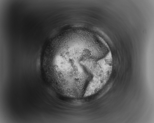 X0000087560261200705181130