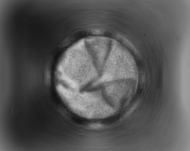 X0000087560262200705181130