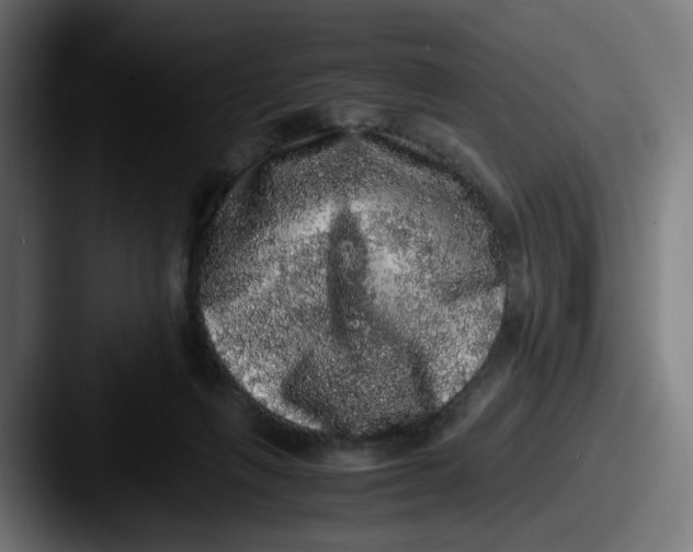 X0000087560263200705181130