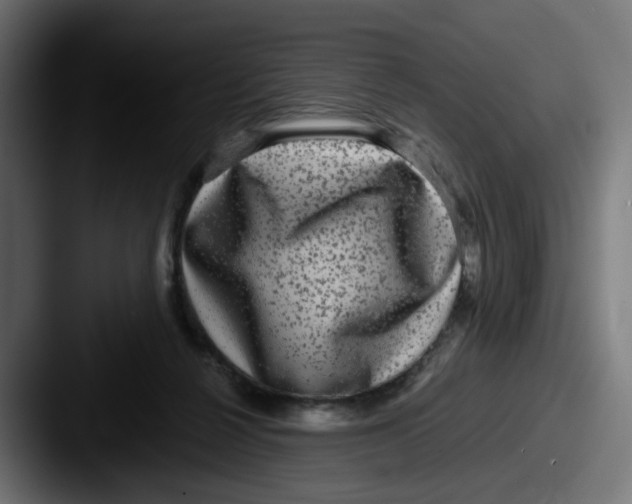 X0000087560264200705181130