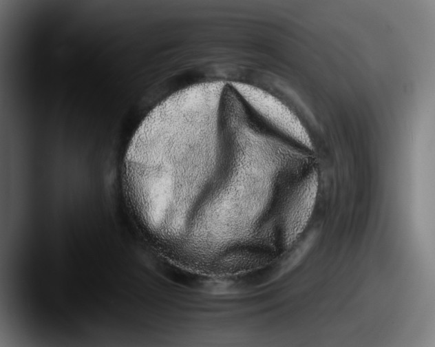 X0000087560265200705181130
