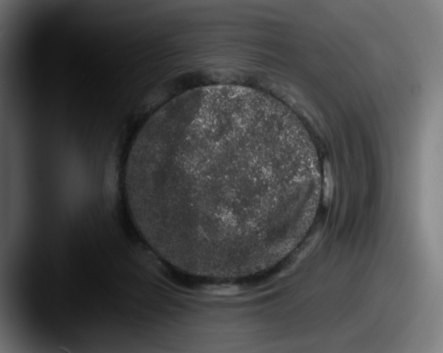 X0000087560266200705181130