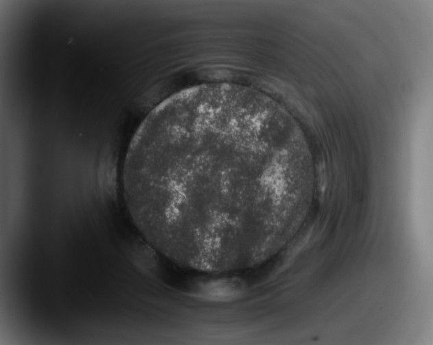 X0000087560267200705181130