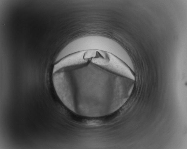 X0000087560268200705181130