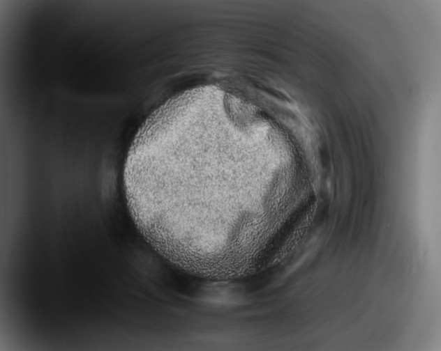 X0000087560269200705181130