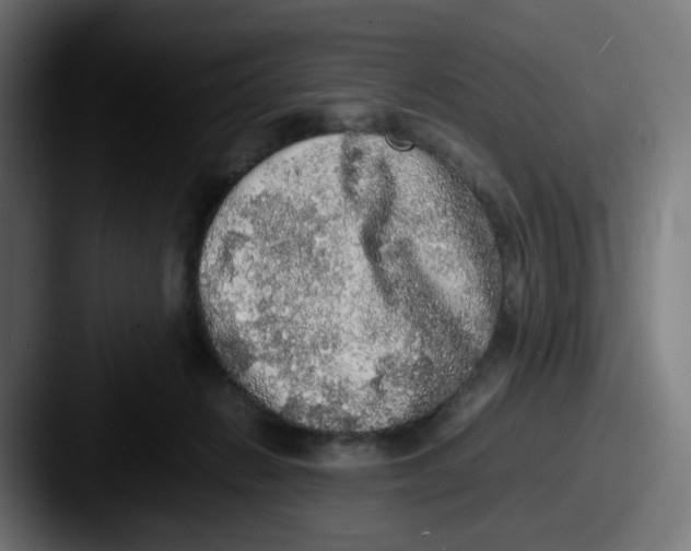 X0000087560270200705181130