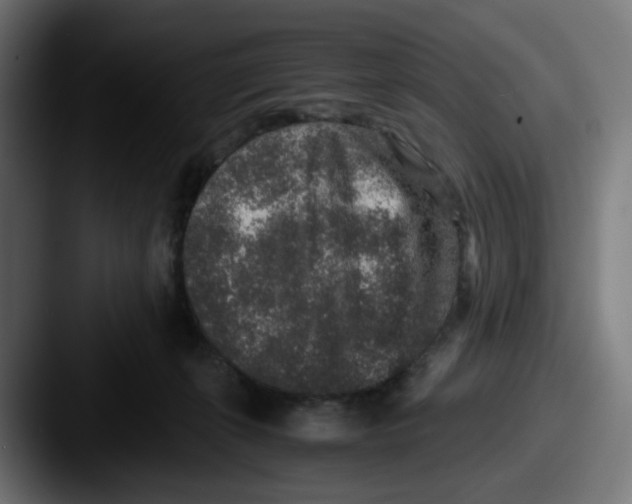 X0000087560271200705181130