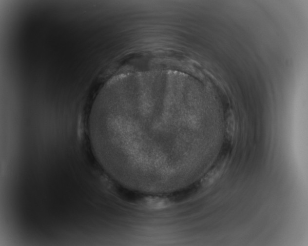 X0000087560272200705181130