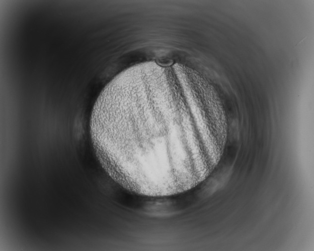 X0000087560274200705181130