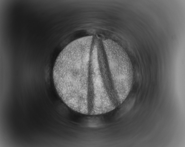 X0000087560275200705181130