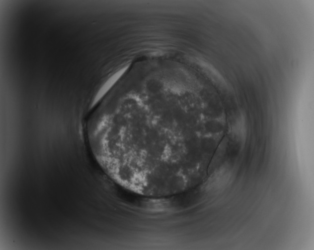 X0000087560277200705181130