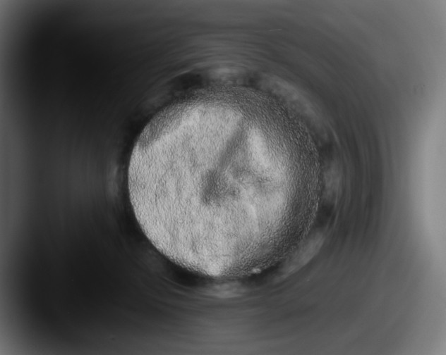 X0000087560278200705181130
