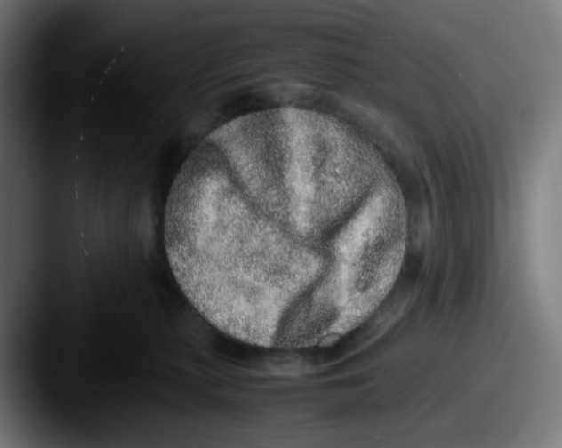 X0000087560279200705181130