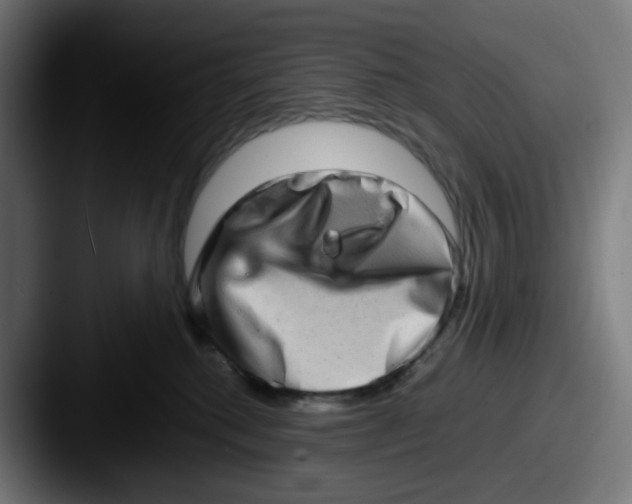 X0000087560280200705181130