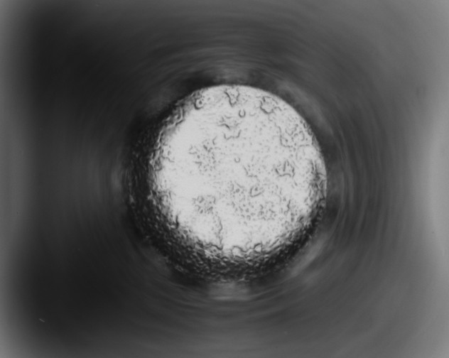 X0000087560281200705181130