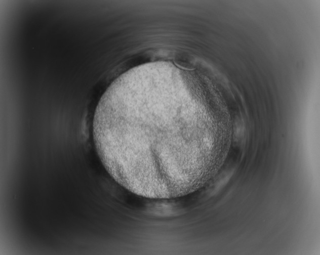 X0000087560282200705181130