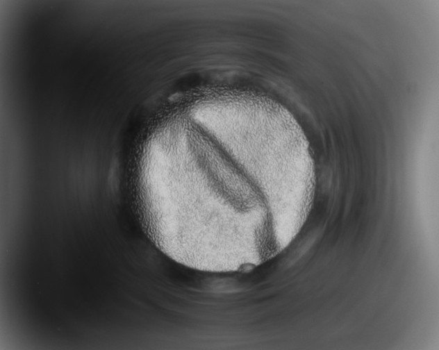 X0000087560283200705181130