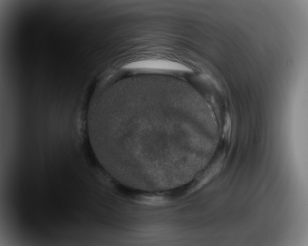 X0000087560284200705181130