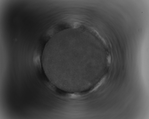 X0000087560286200705181130