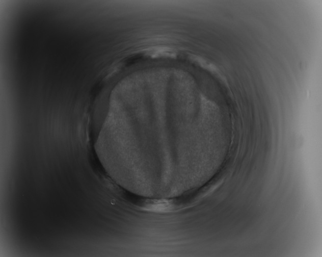 X0000087560288200705181130