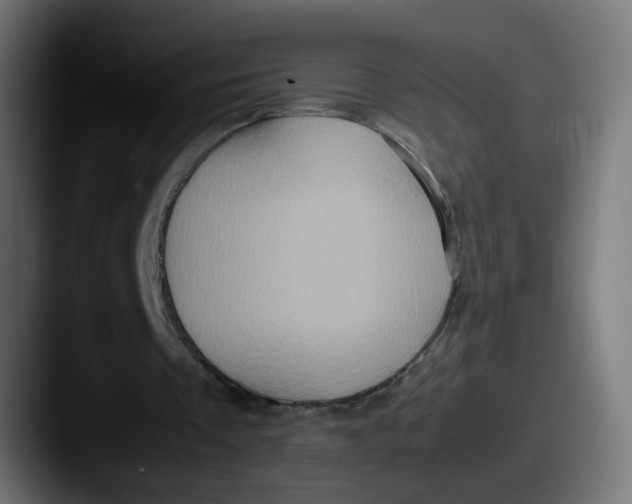 X0000087560289200705181130