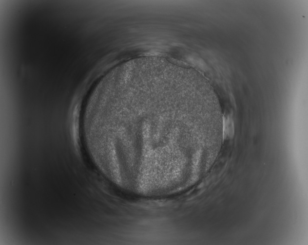 X0000087560291200705181130