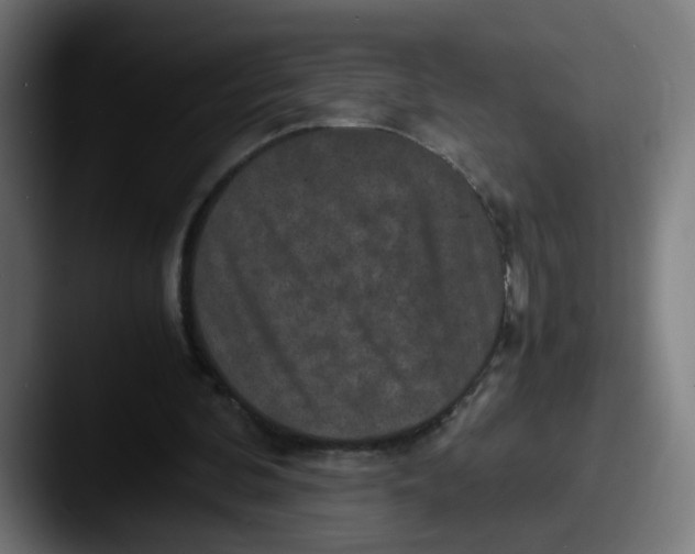 X0000087560292200705181130