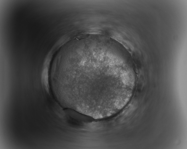 X0000087560293200705181130