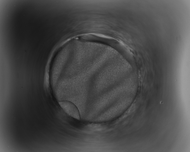 X0000087560294200705181129