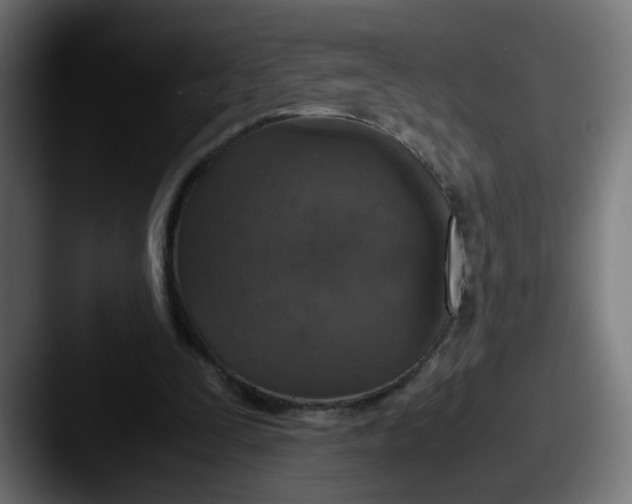X0000087560295200705181129