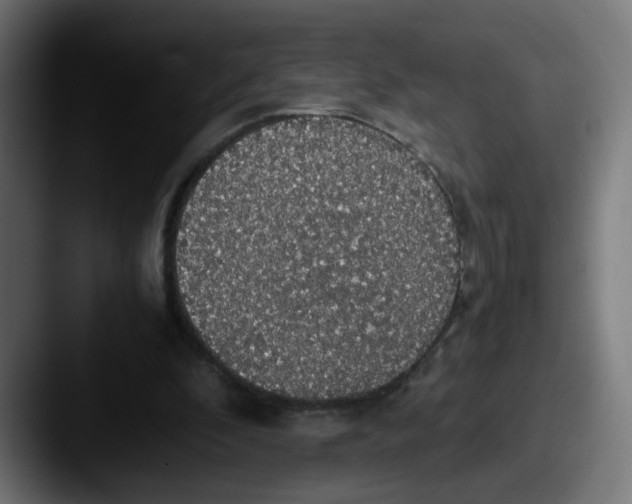X0000087560296200705181129