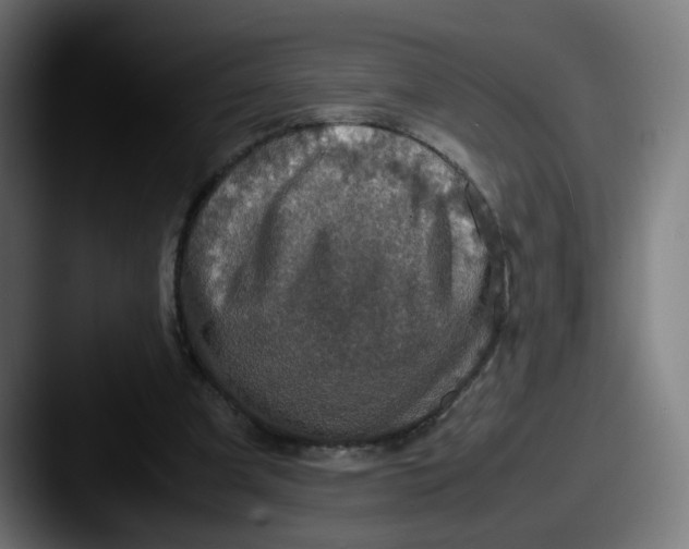 X0000087560297200705181129