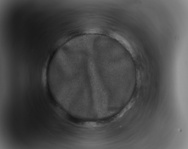 X0000087560298200705181129