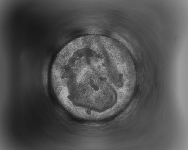 X0000087560299200705181129