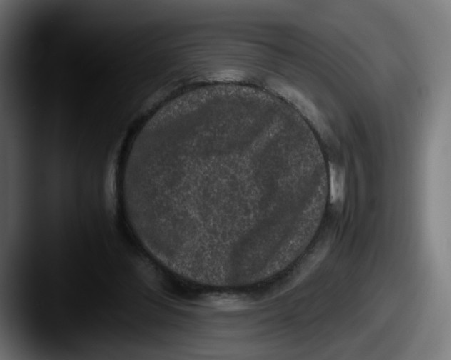 X0000087560300200705181129