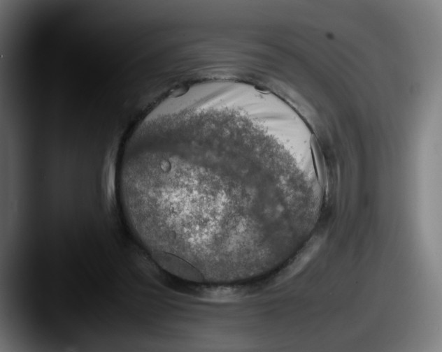 X0000087560301200705181129