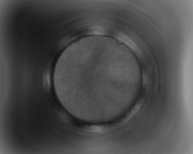 X0000087560302200705181129