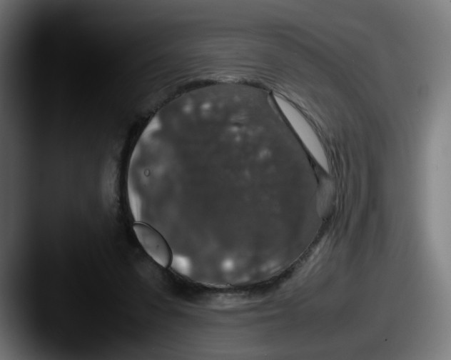 X0000087560303200705181129