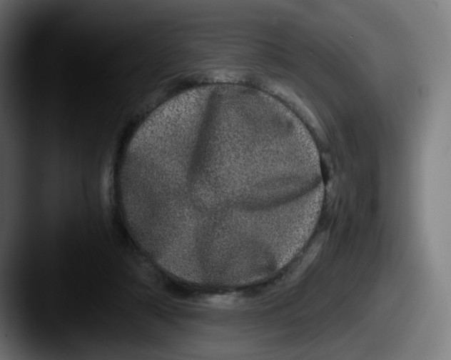 X0000087560306200705181129