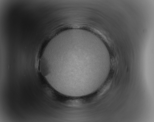 X0000087560307200705181129