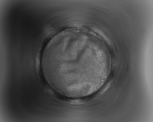 X0000087560309200705181129