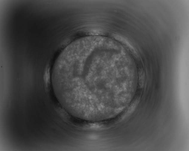 X0000087560310200705181129