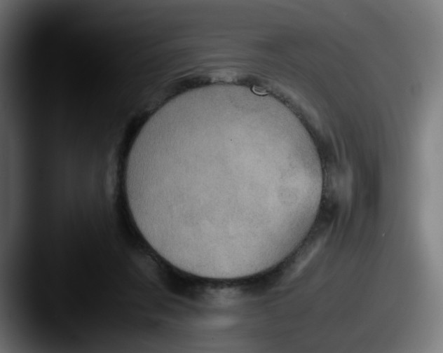 X0000087560311200705181129