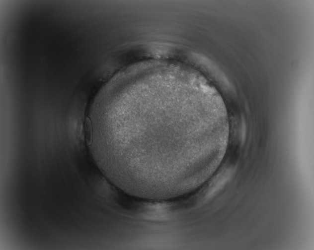 X0000087560313200705181129