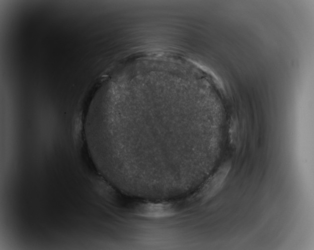 X0000087560314200705181129