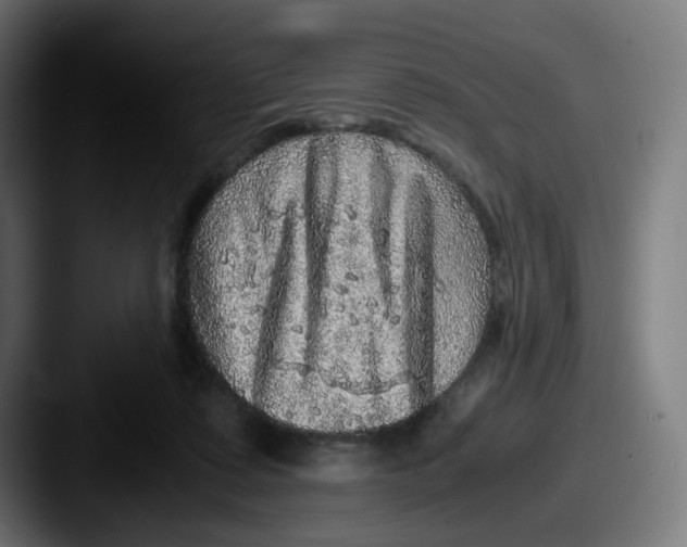X0000087560315200705181129