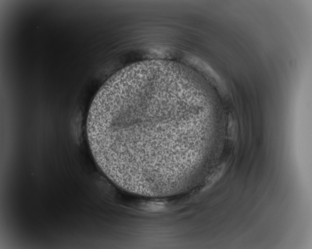 X0000087560318200705181129