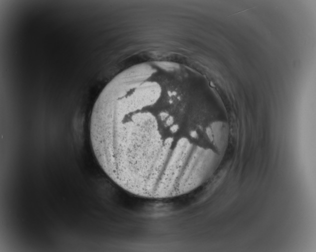 X0000087560319200705181129